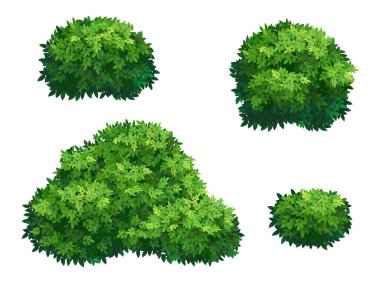 Yeşil çalı ve ağaç taç farklı şekiller kümesi. Süs bitki çalı dekore bir park, bir bahçe veya yeşil bir çit için. Kalın çalılıkları çalılar. Yeşillik bahar ve yaz kartı için Tasarla.