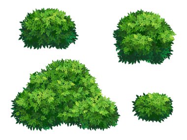 Set of green bush and tree crown of different shapes. Ornamental plant shrub for decorate of a park, a garden or a green fence. Thick thickets of shrubs. Foliage for spring and summer card design. clipart