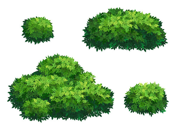 Set of green bush and tree crown of different shapes. Ornamental plant shrub for decorate of a park, a garden or a green fence. Thick thickets of shrubs. Foliage for spring and summer card design.