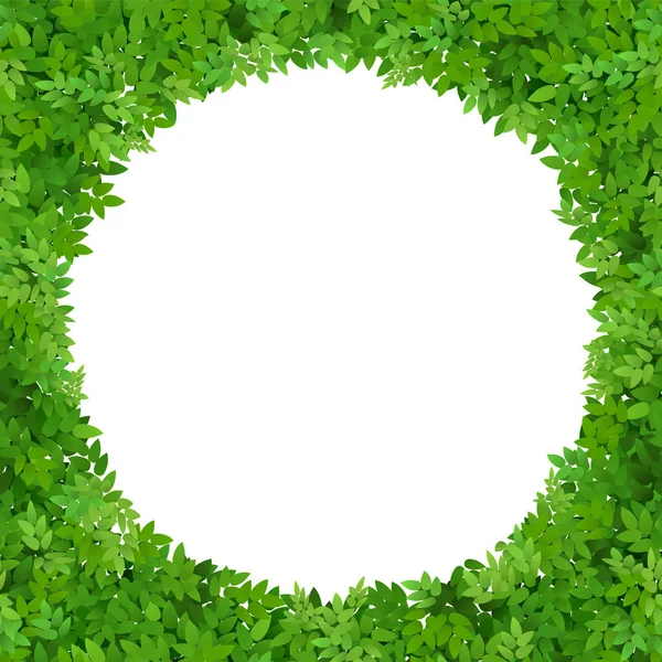 Marco circular de hojas verdes. Follaje verde. En blanco para la tarjeta . — Vector de stock