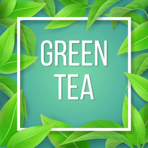 The leaves of green tea natural background. — Stock Vector