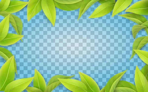 Gröna blad ram på transparent bakgrund. — Stock vektor