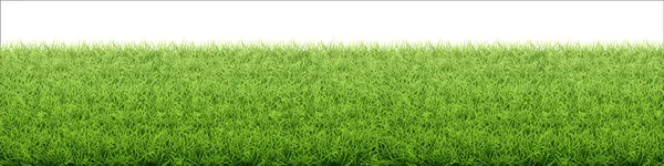 Groen gras gazon. Grens van vers grasveld. — Stockvector