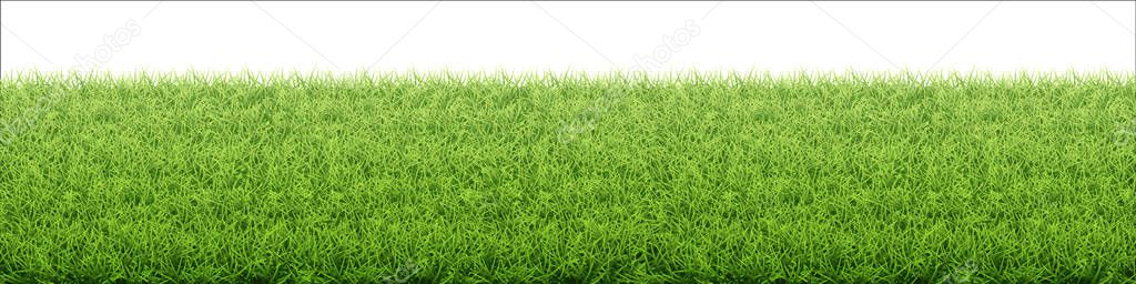 Green grass lawn. Border from fresh grass field.