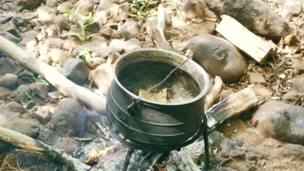 Koken van vis in pot op kampvuur — Stockvideo