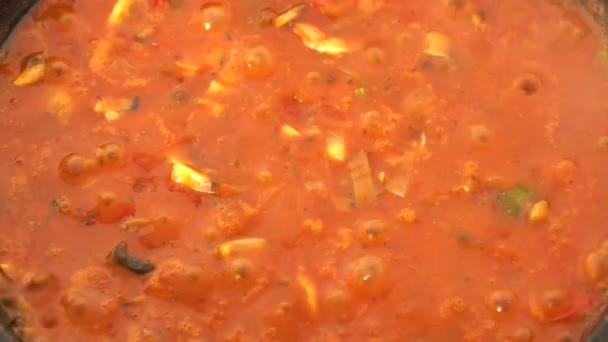 Salsa di pomodoro bollente in padella — Video Stock