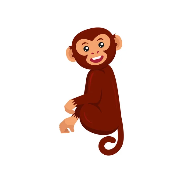 Lindo Mono Animal Diseño Mascota Ilustración Vector — Archivo Imágenes Vectoriales
