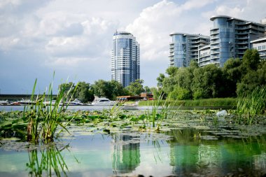 Kötü su konsepti. Kiev'de ekoloji sorunu, yeşil su, ch ile