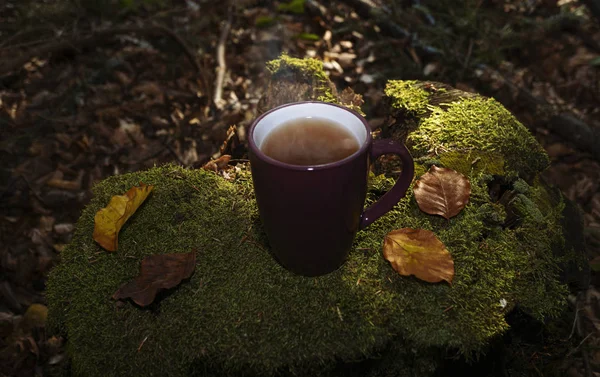 Steaming mug of hot tea surrounded by leaves placed on the stump in the forest. Autumn mood, cozy season and fall concept.