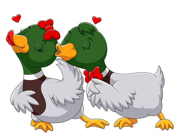Aşık ve öpüşme çift ördek — Stok Vektör