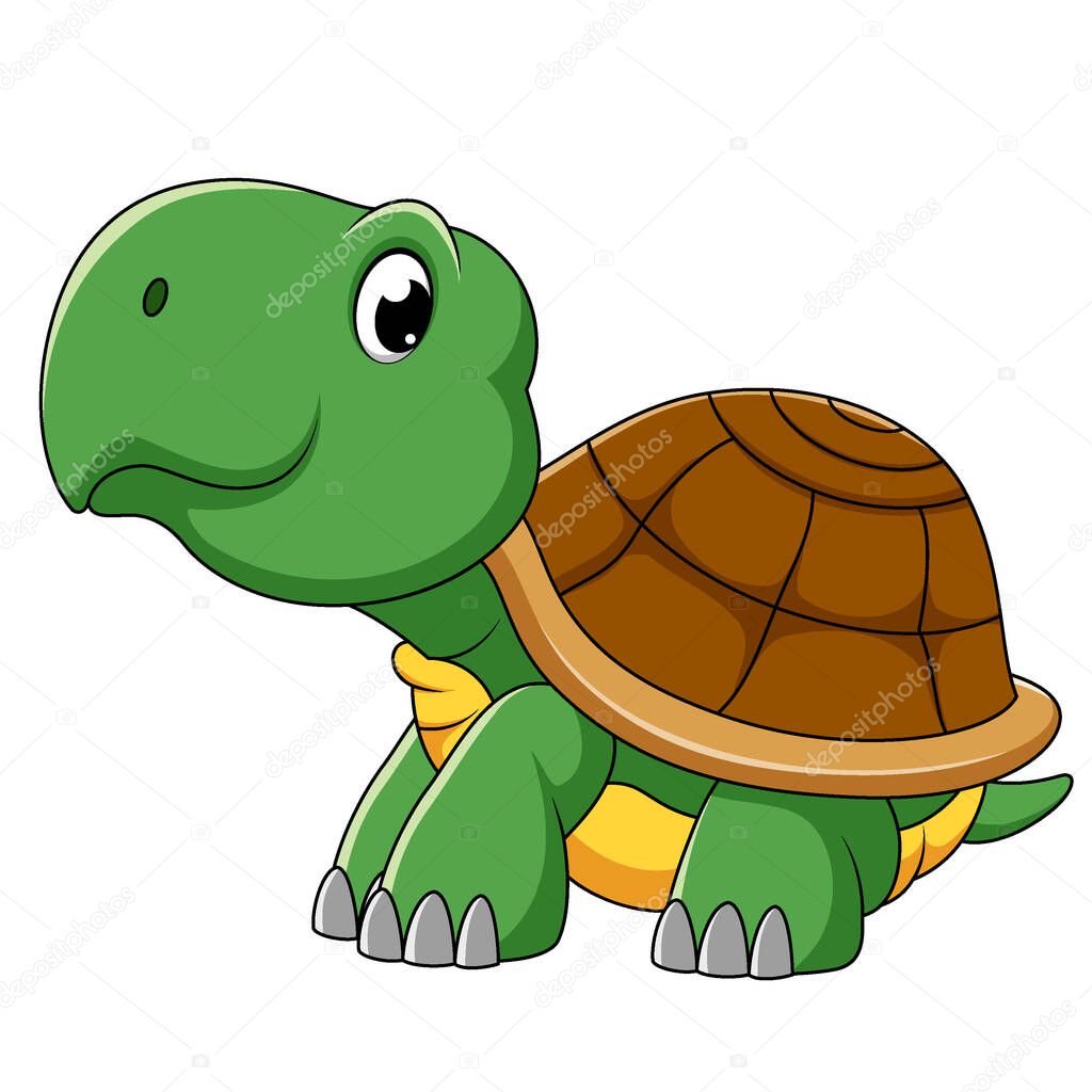 Cute turtle cartoon character of illustration