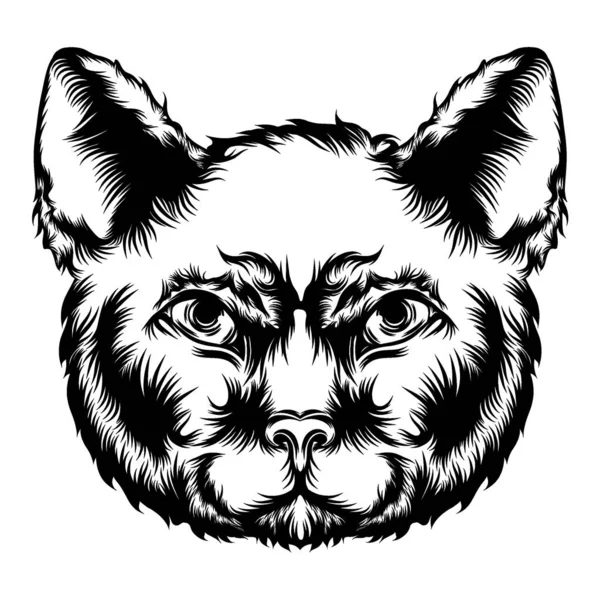 Illustratie Van Kat Animatie Voor Tattoo Ideeën — Stockvector