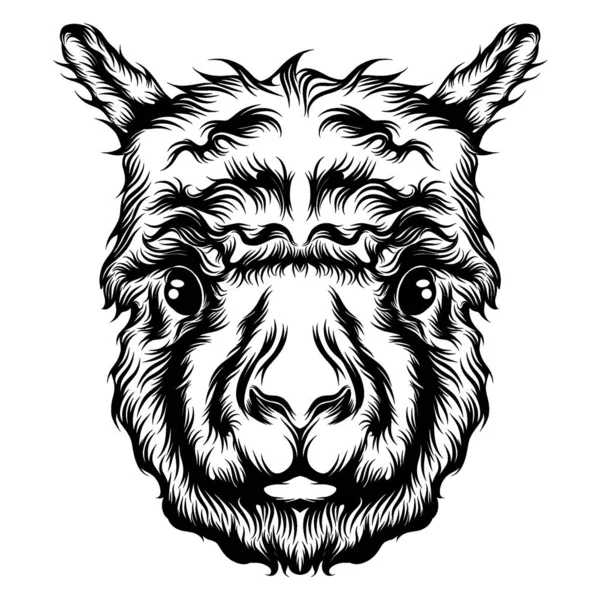 Ilustração Animação Tatuagem Alpaca Cabeça Única — Vetor de Stock