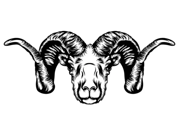 Tattoo Animation Goat Head Horns — Stock Vector