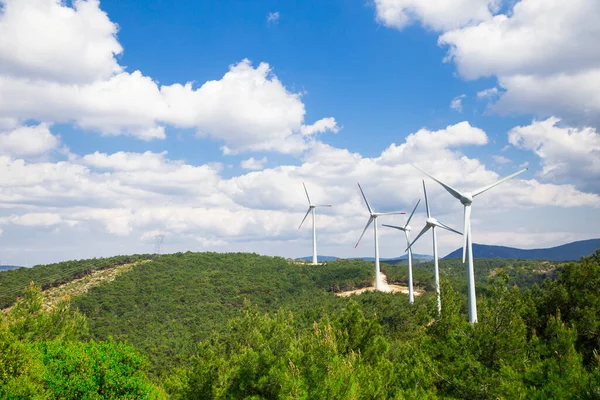 Vista Panorámica Granja Molinos Viento Soleado Día Primavera — Foto de Stock