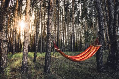 ormanda güzel hamak