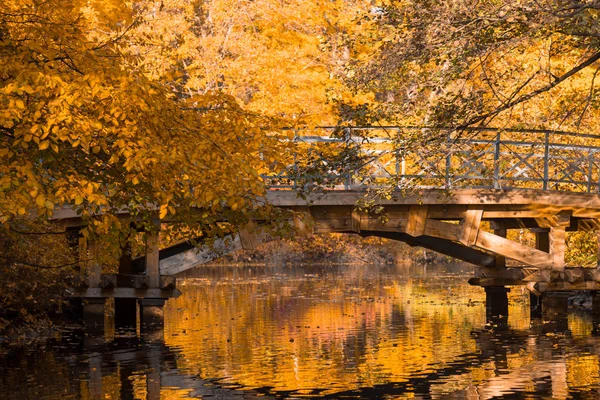 Желтая Осень Парке — стоковое фото
