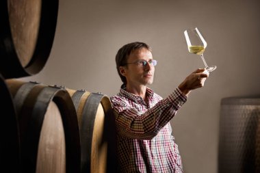 Winemaker analyzing a glass of white wine in cellar. clipart
