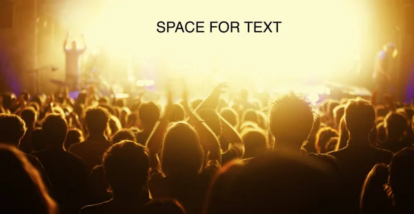 Audience at live concert cheering with bright light at stage area as free space for text.