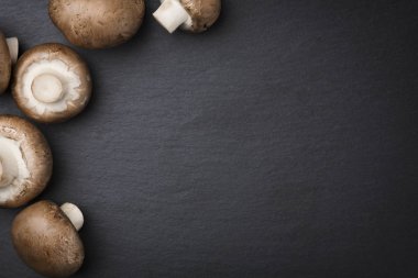 Kopya alanı ile birçok krem champignons.