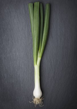 Koyu taş üzerinde izole bir bahar soğan.