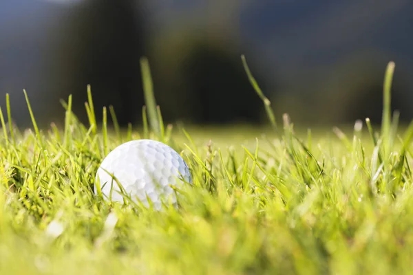 Makro golfového míče v trávě. — Stock fotografie