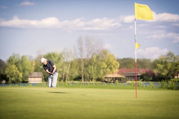 Oude golfspeler werpt op groen. — Stockfoto