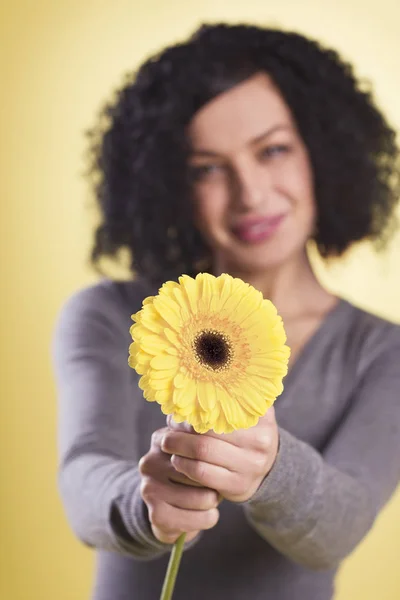 Щаслива Дівчина Радісна Тримає Жовту Квітку Ізольована Жовтому Тлі — стокове фото