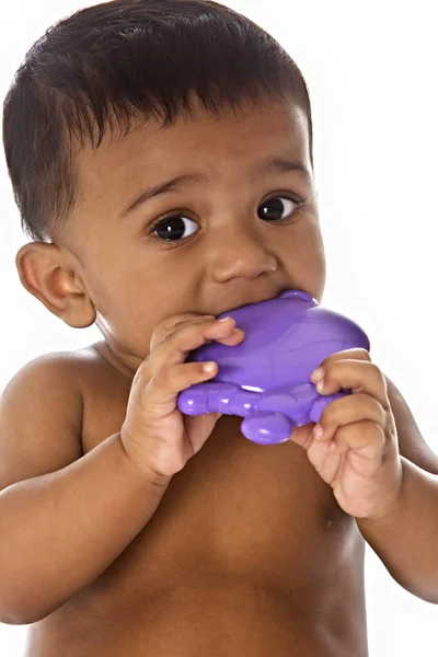 Sweet Indian baby chewing on toy — Stock Photo, Image