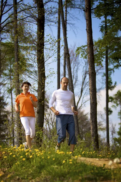 Paar joggt im Wald lizenzfreie Stockbilder