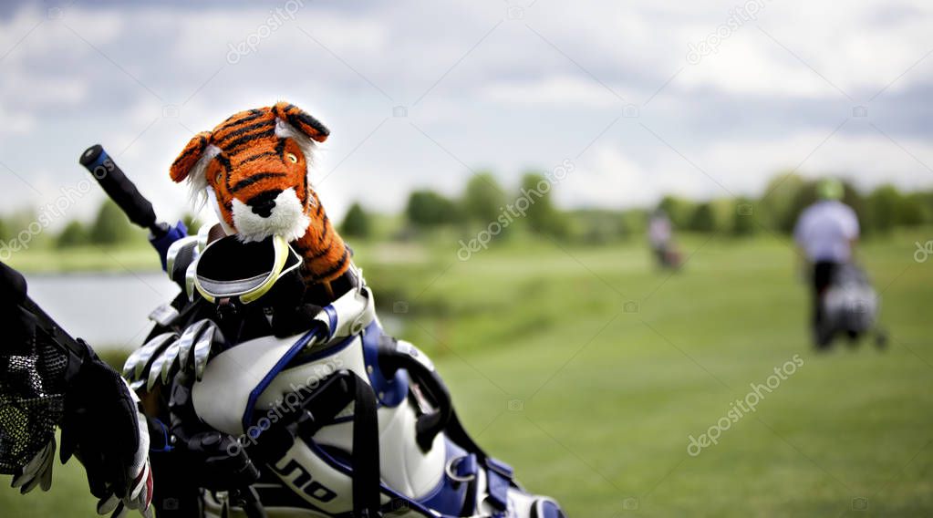Tiger protection cap on golf club