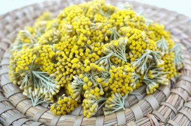 Immortelle çiçekler bahçeden aldı, Helichrysum arenarium arka plan