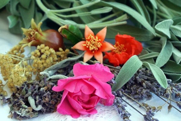 Hierbas medicinales frescas del jardín para hacer cosméticos naturales y orgánicos — Foto de Stock