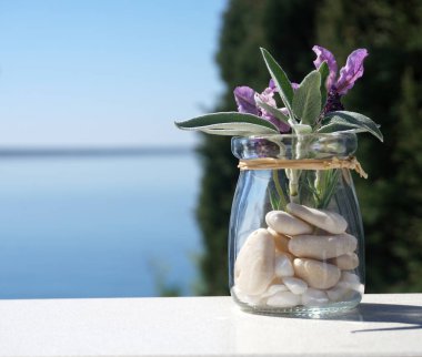 Leaves of young sage plant and flowers of lavender in a little jar with blue sea and nature background clipart