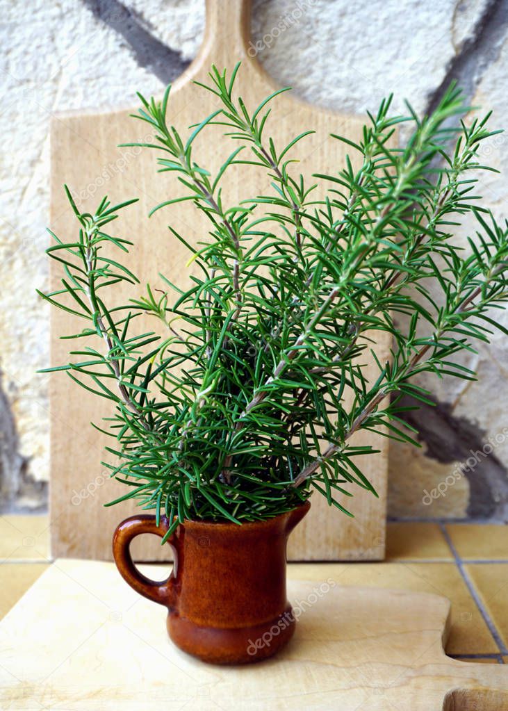 Sprigs of rosemary in a ceramic jar in front of a wooden kitchen cutting board