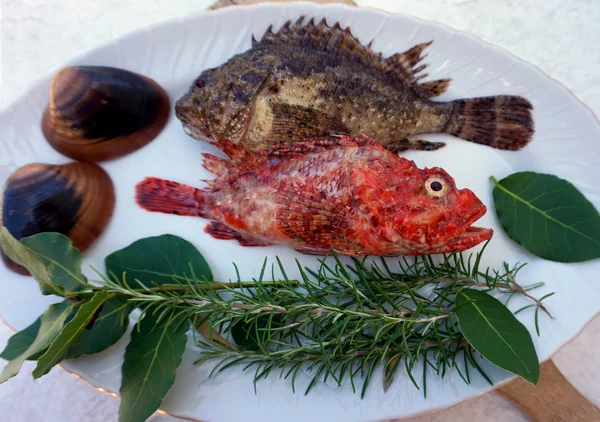 Tengeri hal, vörös hal és skorpió hal a tányéron, természetes mediterrán fűszerekkel és tengeri kagylóval díszítve — Stock Fotó