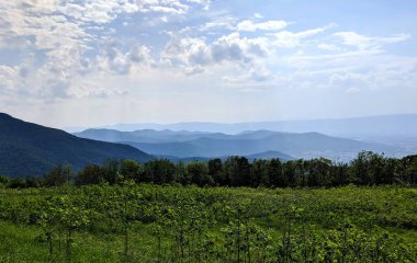 Blue Ridge Dağları'nda parlayan güneş ışınları