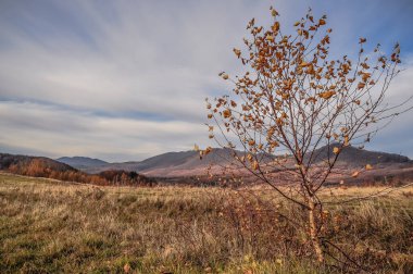 Karpatların sonbahar akşamı manzarası