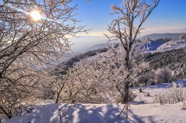 Güneşli bir günde Kış Karpatlar manzara