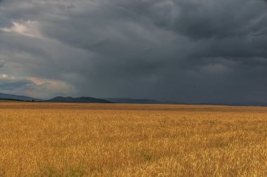Yaz fırtına öncesi alan