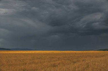 Yaz fırtına öncesi alan