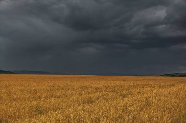 Yaz fırtına öncesi alan