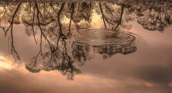 Bir Dağ Nehrinde Gün Batımı Yansıması — Stok fotoğraf
