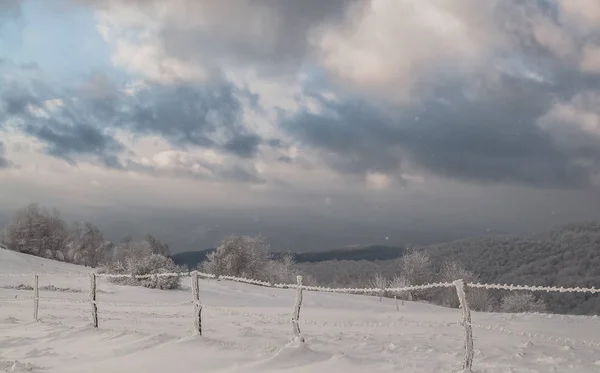 Paisaje Invierno Cárpatos Una Ventisca — Foto de Stock