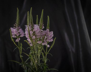 Pembe çiçek şenlikli buket