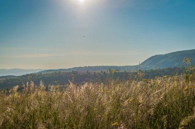 Kırsal yaz Karpatlar Peyzaj