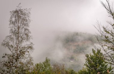 Kırsal yaz Karpatlar Peyzaj
