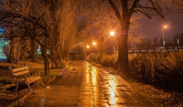 Uzhgorod Akşam Dolgu Peyzaj — Stok fotoğraf