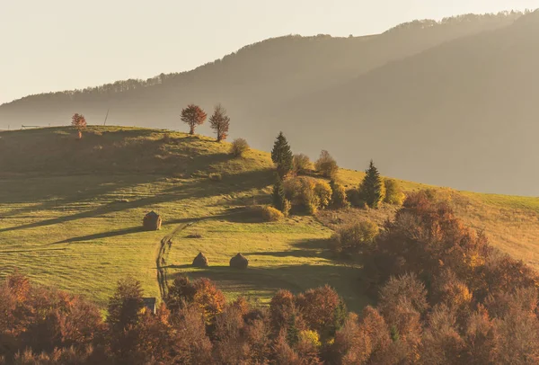 Пейзаж Красивых Осенних Карпат — стоковое фото