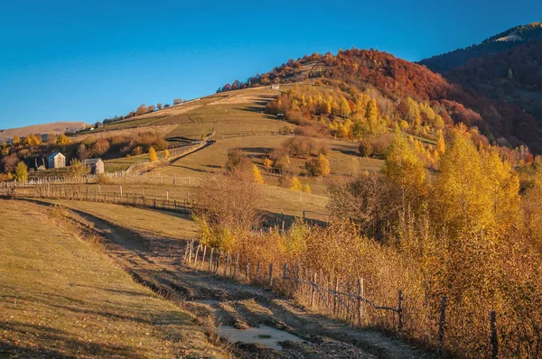 Landscape Beautiful Autumn Carpathians — Stock Photo, Image